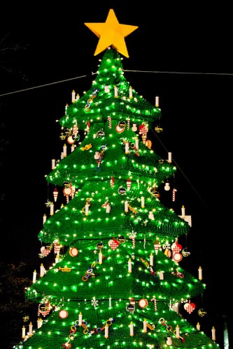 2011.07.06_LEGOLAND_TREELIGHTING_001.jpg