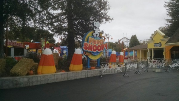 Planet Snoopy themed for the daytime kiddie Halloween parties.