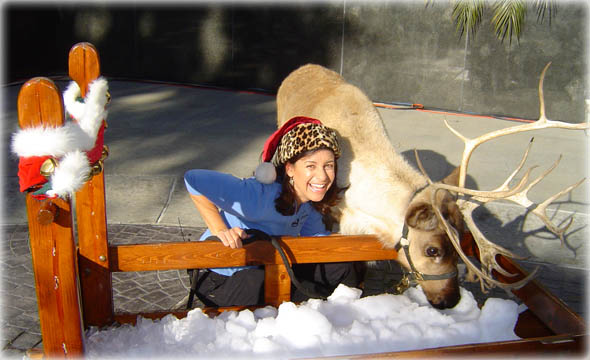 Meet some reindeer at SeaWorld. 