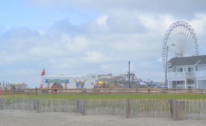 Wonderland Pier1