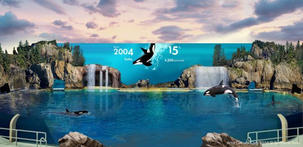 Concept art for the new education focused orca encounter at SeaWorld San Diego (courtesy SeaWorld Entertainment)