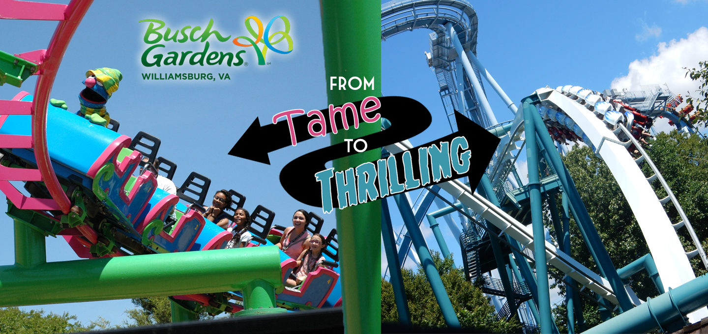 Go behind the thrills of Busch Gardens roller coasters