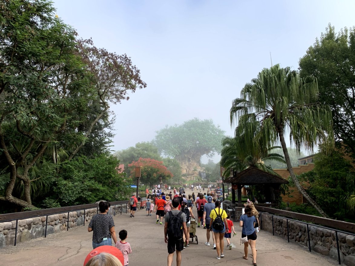 Pros and Cons of Visiting Disney World During a Pandemic - Coaster101