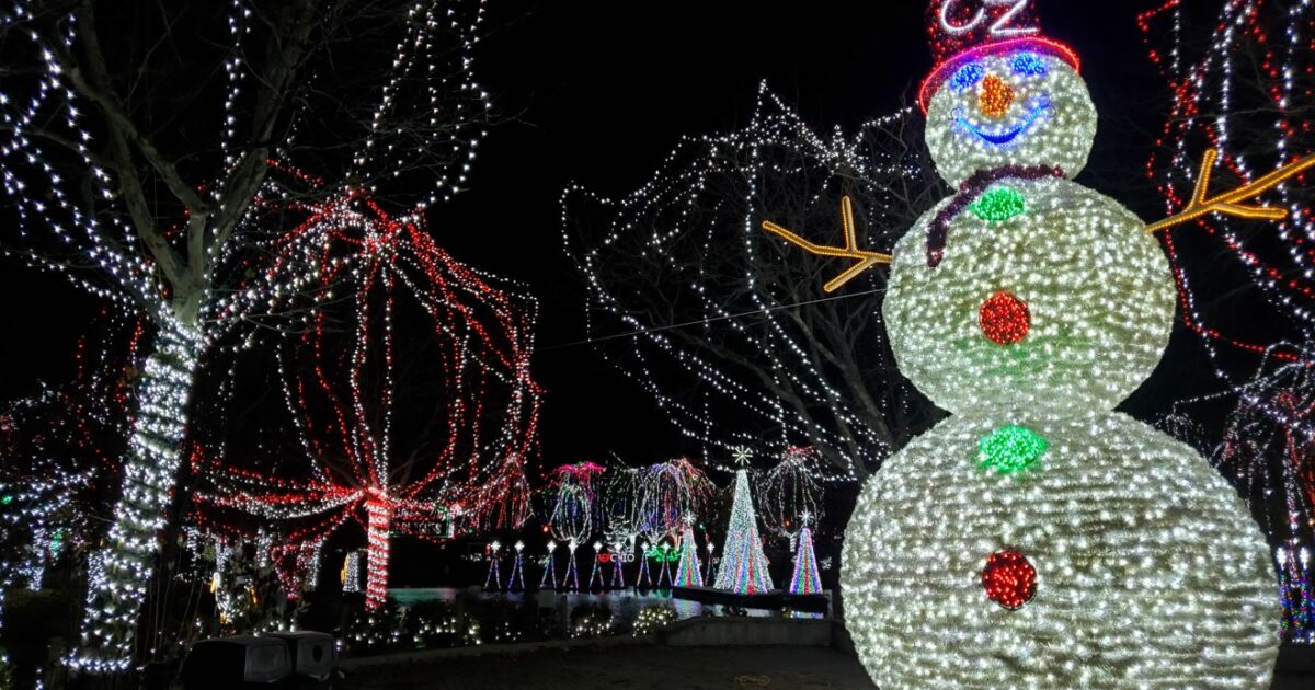 wildlights at the columbus zoo