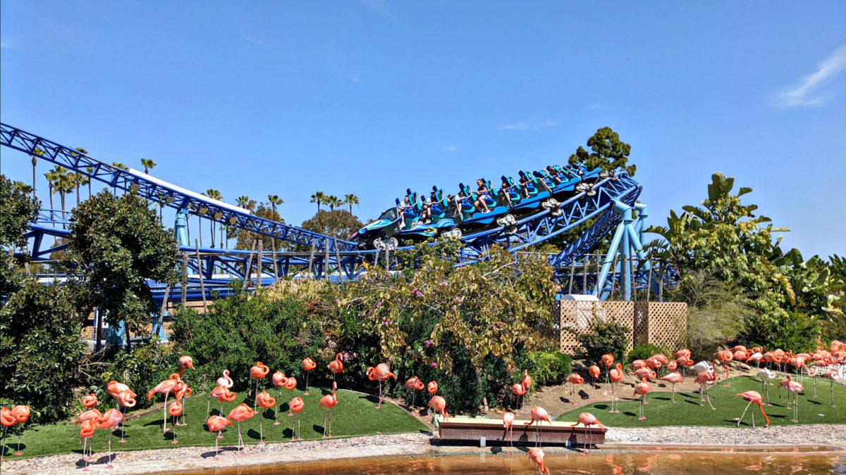 Manta Coaster at SeaWorld San Diego with Flamingos in the foreground.