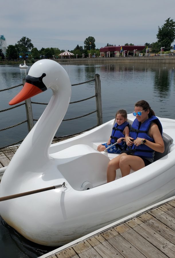 michigan's adventure swan boats free