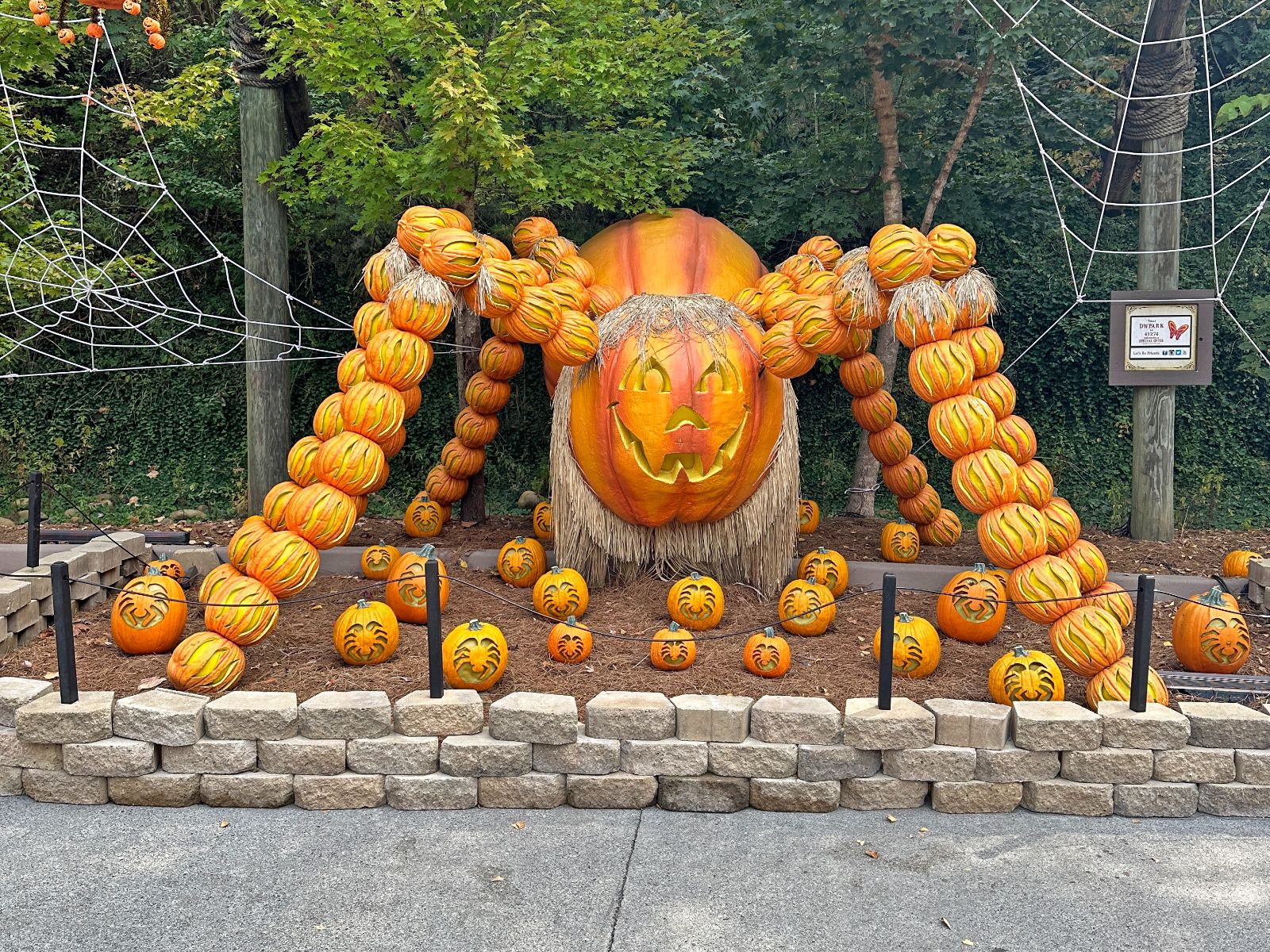 Pumpkins and Coasters Galore at Dollywood Harvest Festival 2023