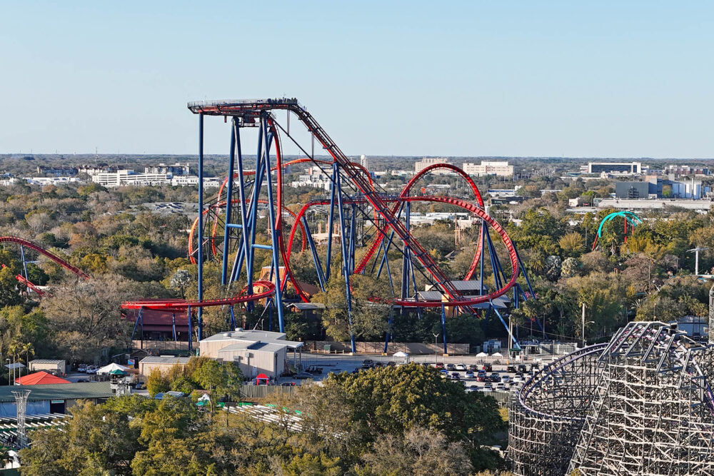 SheiKra at Busch Gardens Tampa